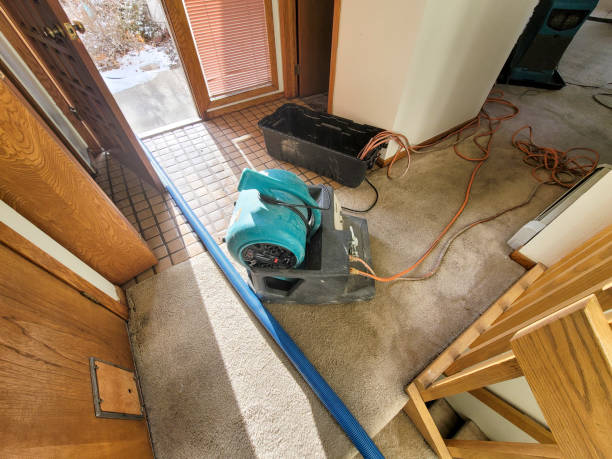 Best Water damage contractors near me  in Sylvester, GA