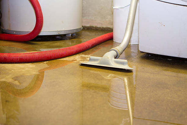 Trusted Sylvester, GA Water damage restoration Experts