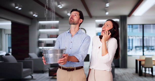 Best Water damage mitigation services  in Sylvester, GA