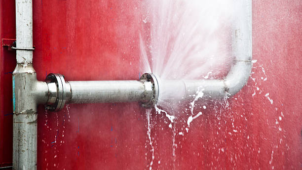 Best Flooded house restoration  in Sylvester, GA