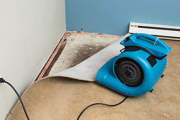 Sewage cleanup and water damage restoration in Sylvester, GA